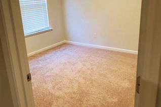 house picture