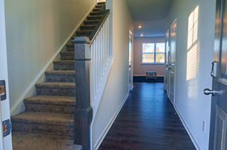 house picture