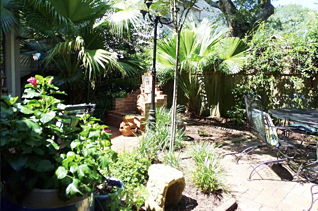 house picture