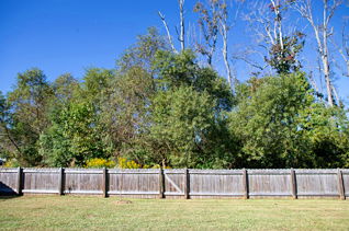 house picture