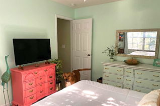 house picture