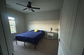 house picture