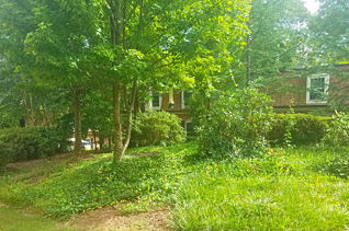 house picture