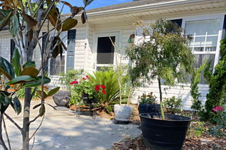 house picture