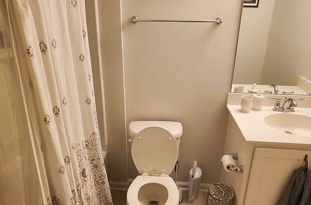 house picture