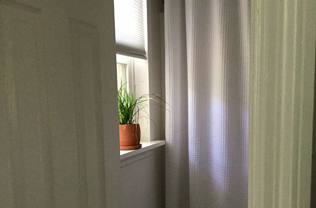 house picture