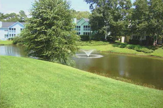 house picture