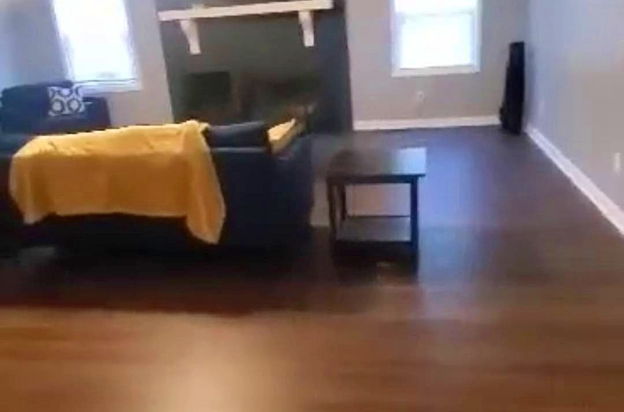 house picture