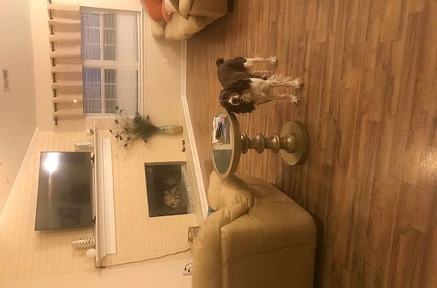 house picture