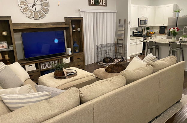 house picture