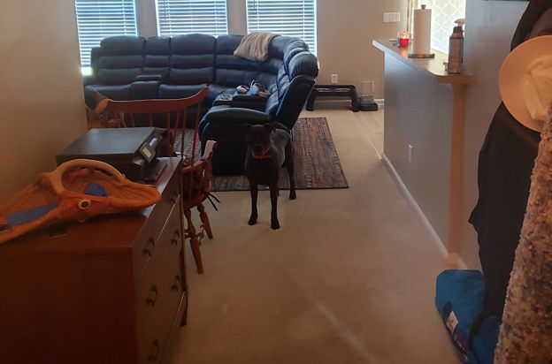 house picture