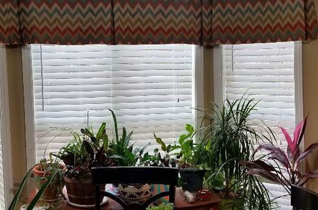 house picture