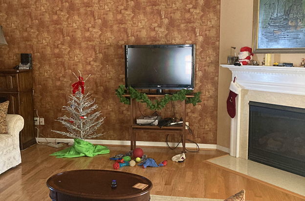 house picture
