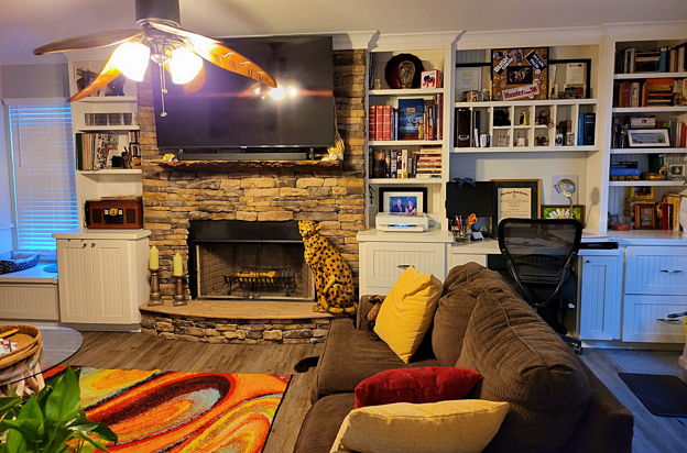 house picture