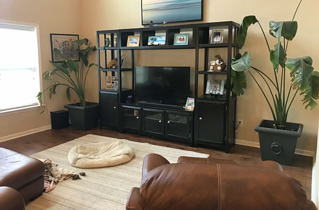 house picture