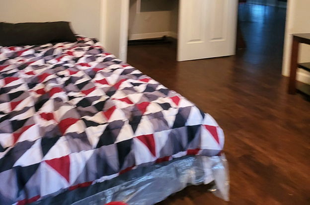 house picture