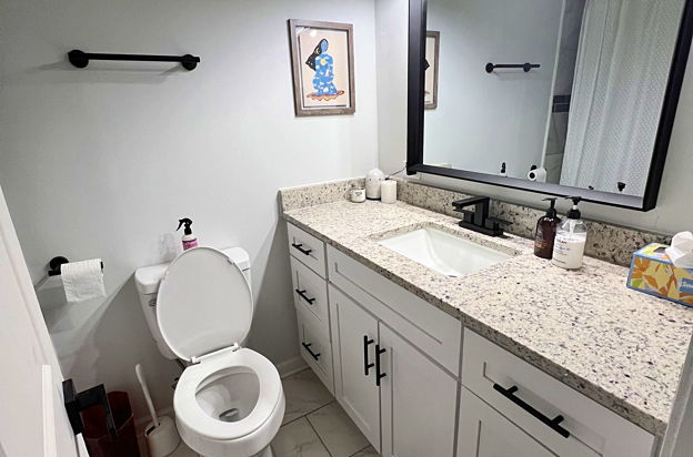 house picture