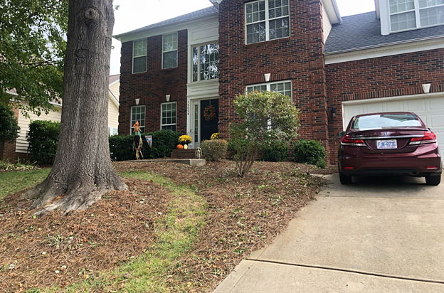 house picture