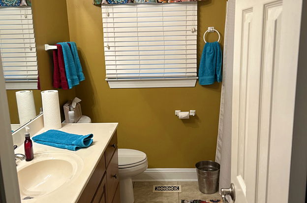 house picture
