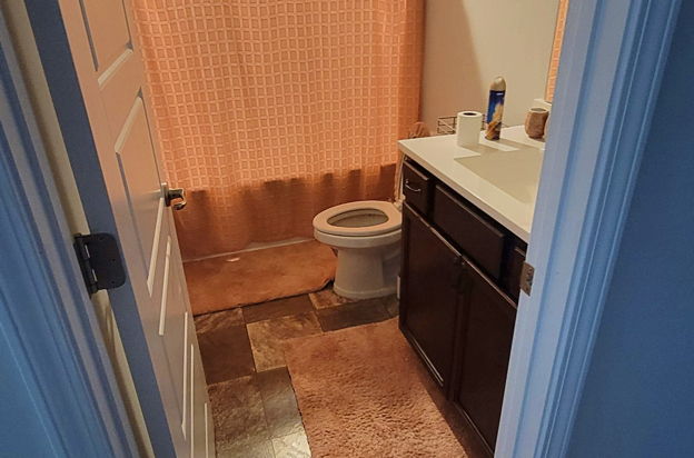 house picture
