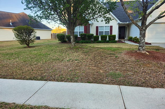house picture