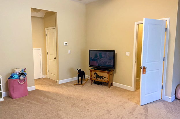 house picture
