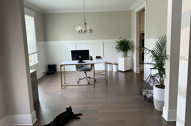 house picture