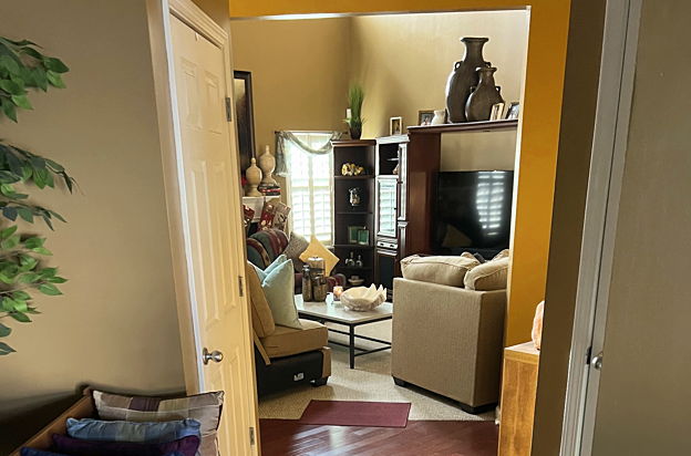 house picture
