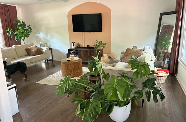 house picture