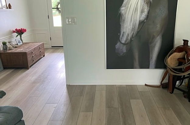 house picture