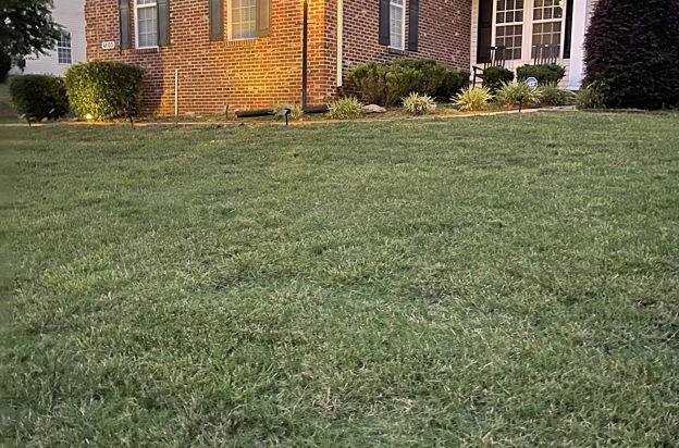 house picture