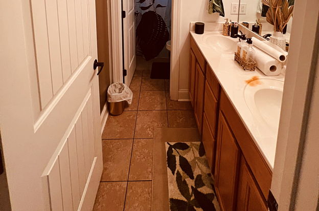 house picture