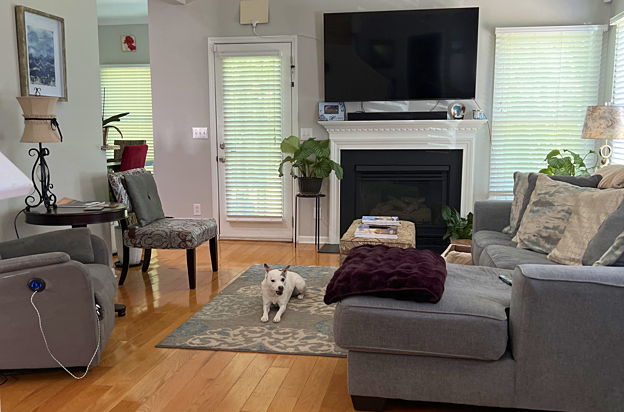 house picture