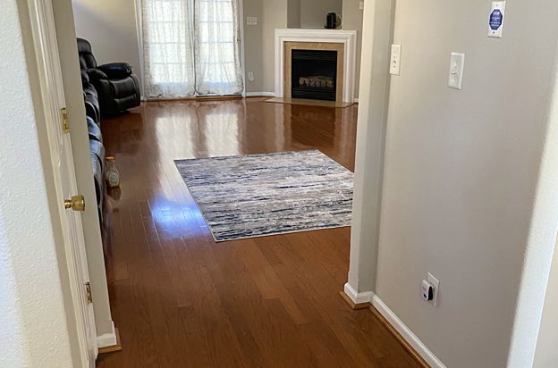 house picture