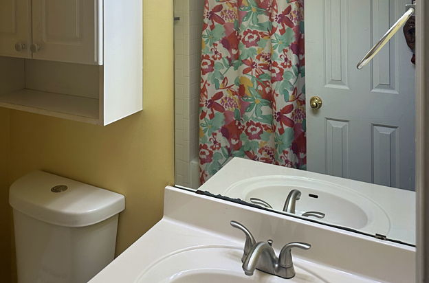 house picture