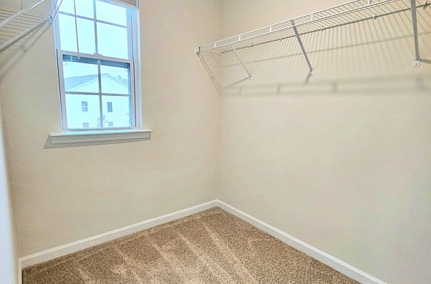 house picture