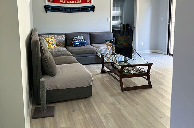 house picture