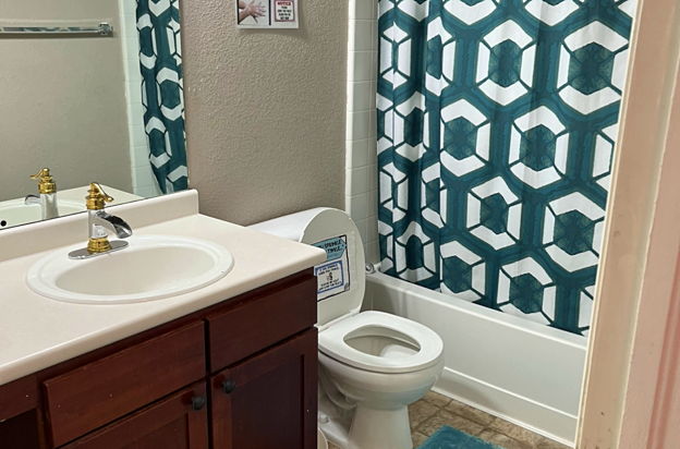 house picture