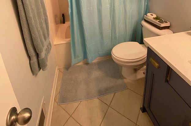 house picture