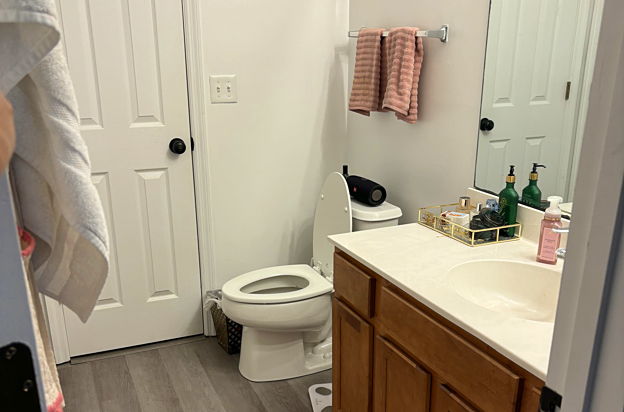 house picture