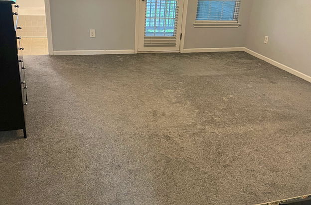 house picture