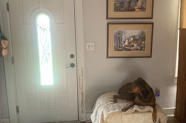 house picture