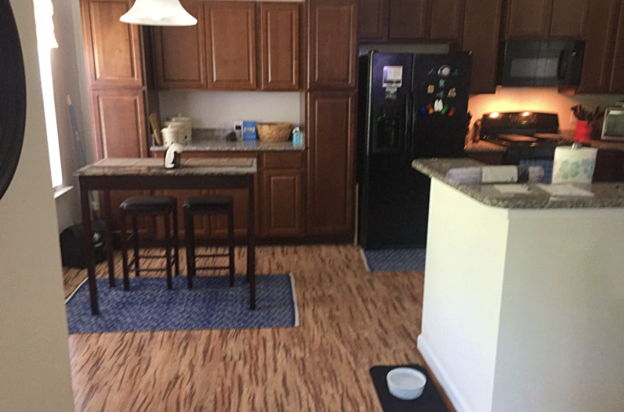 house picture