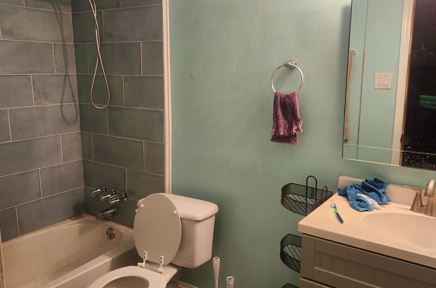 house picture