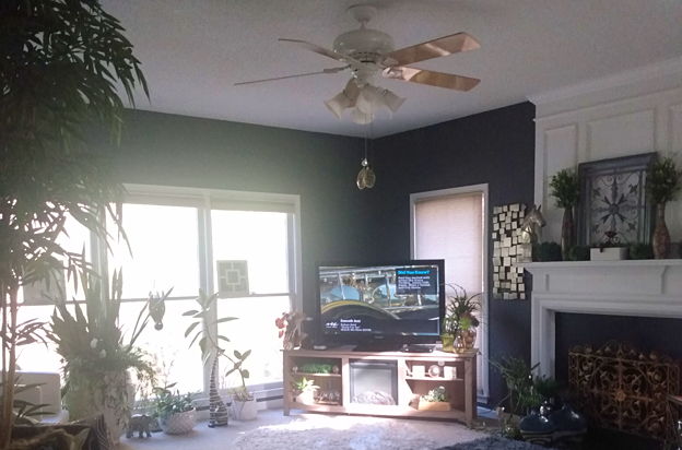 house picture