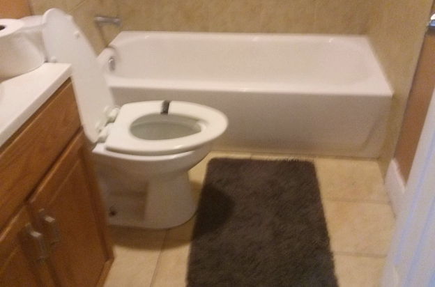 house picture