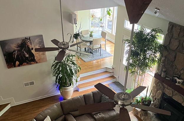 house picture