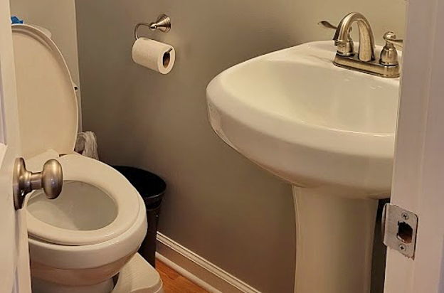 house picture