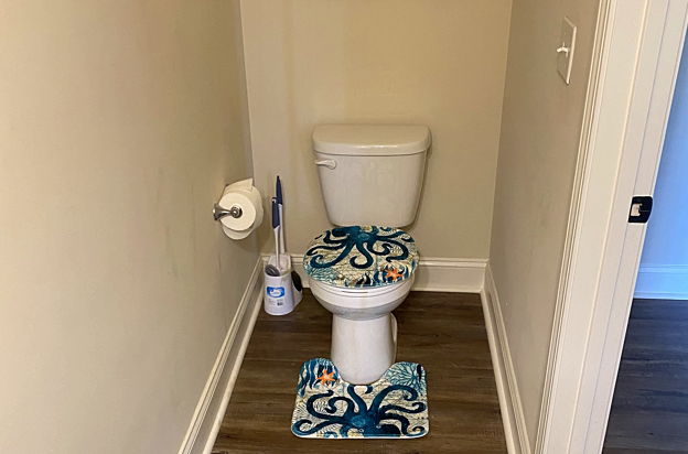 house picture