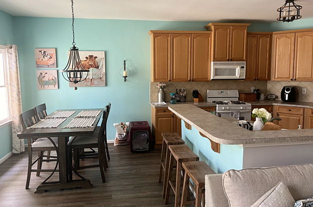 house picture